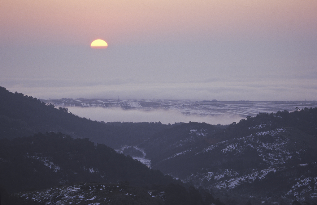 Δαδιά - Photo (c) Andrea Bonetti / WWF Greece