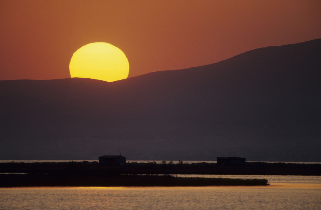 Δέλτα Έβρου - Photo (c) Andrea Bonetti / WWF Greece