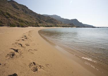 Photo (c) Andrea Bonetti/WWF Greece