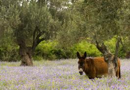 Μία διαφορετική ημέρα στη φύση!