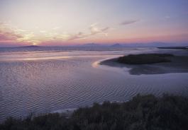 Αμβρακικός Κόλπος (Photo: WWF Ελλάς/Andrea Bonetti)