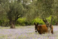 Μία διαφορετική ημέρα στη φύση! Μία διαφορετική ημέρα στη φύση!
